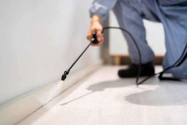 Licensed Fumigation Services service in Citronelle, AL - Nex Pest Control