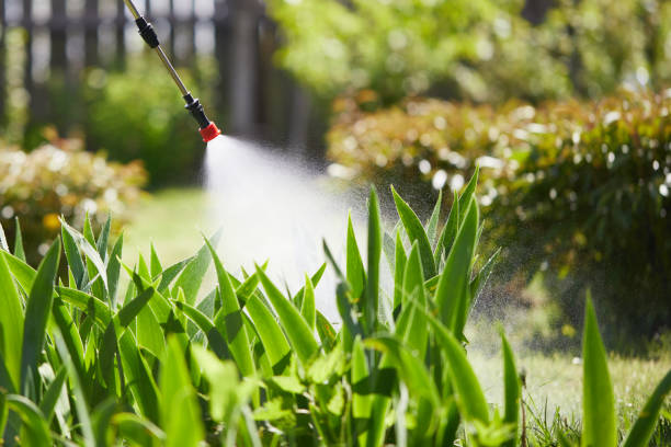 24/7 Emergency Fumigation Services experts in Citronelle, AL