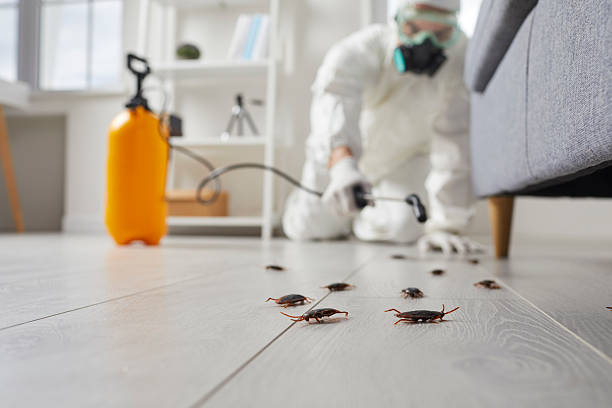 Trusted Fumigation Services service in Citronelle, AL - Nex Pest Control