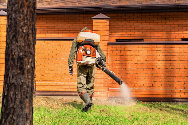 Trusted Cockroach Control service in Citronelle, AL - Nex Pest Control